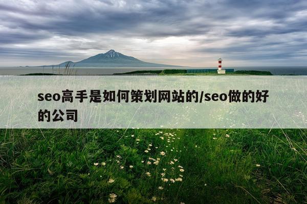 seo高手是如何策划网站的/seo做的好的公司