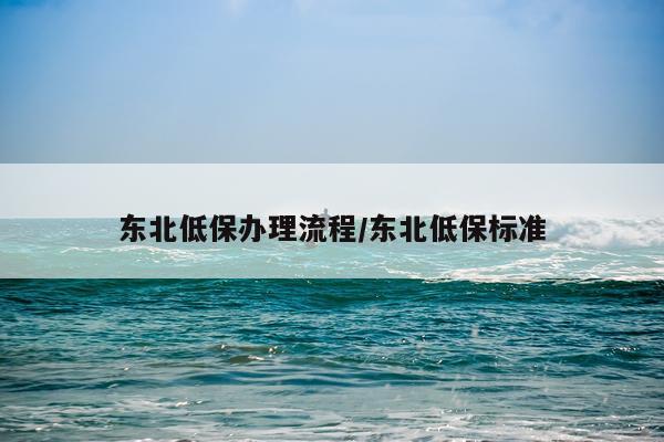 东北低保办理流程/东北低保标准