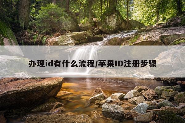 办理id有什么流程/苹果ID注册步骤