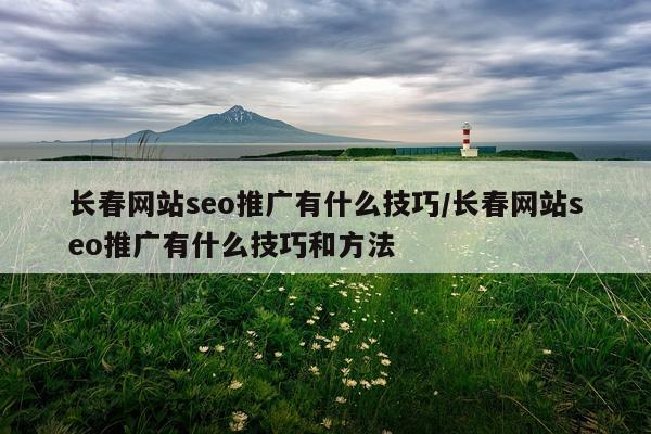 长春网站seo推广有什么技巧/长春网站seo推广有什么技巧和方法