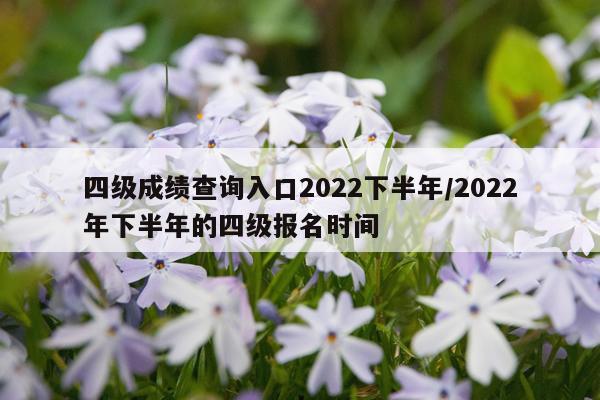 四级成绩查询入口2022下半年/2022年下半年的四级报名时间