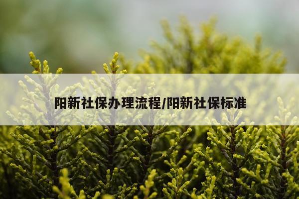 阳新社保办理流程/阳新社保标准