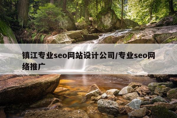 镇江专业seo网站设计公司/专业seo网络推广