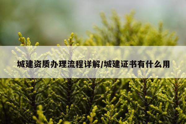 城建资质办理流程详解/城建证书有什么用