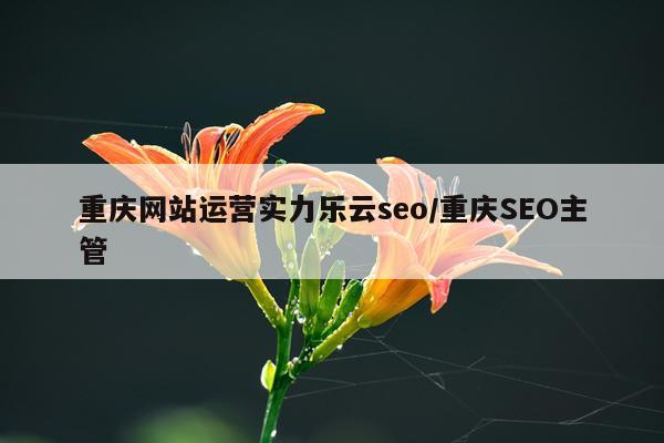 重庆网站运营实力乐云seo/重庆SEO主管