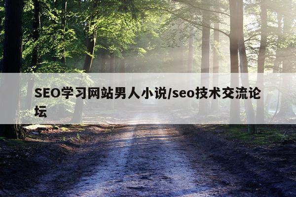 SEO学习网站男人小说/seo技术交流论坛