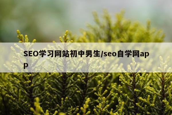 SEO学习网站初中男生/seo自学网app