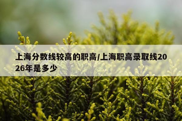 上海分数线较高的职高/上海职高录取线2026年是多少