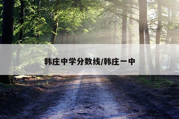 韩庄中学分数线/韩庄一中