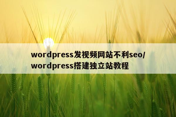wordpress发视频网站不利seo/wordpress搭建独立站教程
