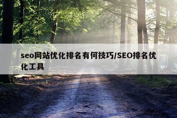 seo网站优化排名有何技巧/SEO排名优化工具