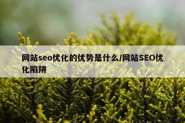 网站seo优化的优势是什么/网站SEO优化陷阱