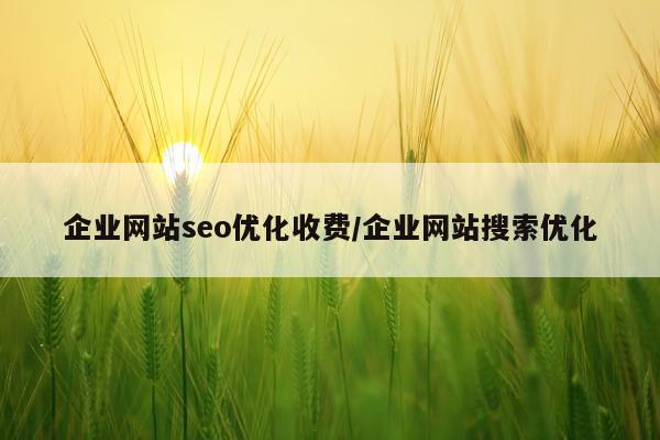 企业网站seo优化收费/企业网站搜索优化