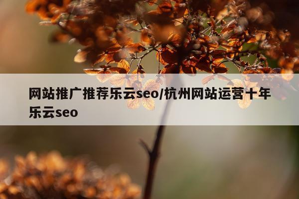 网站推广推荐乐云seo/杭州网站运营十年乐云seo