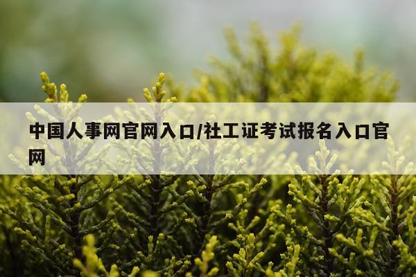 中国人事网官网入口/社工证考试报名入口官网