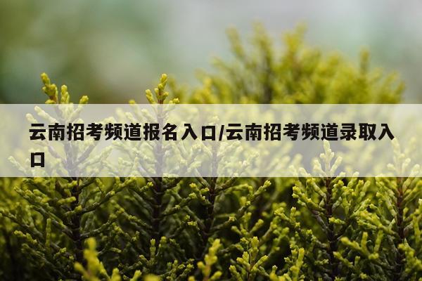 云南招考频道报名入口/云南招考频道录取入口