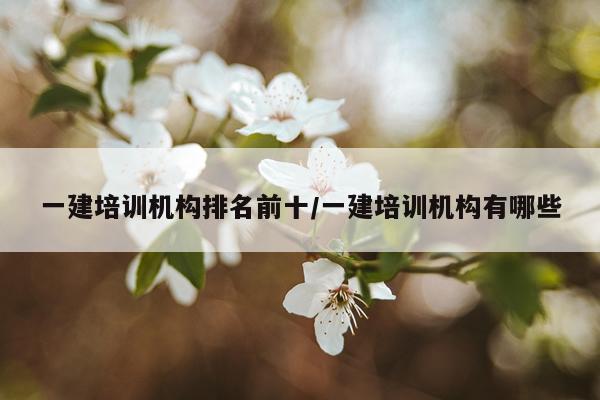 一建培训机构排名前十/一建培训机构有哪些