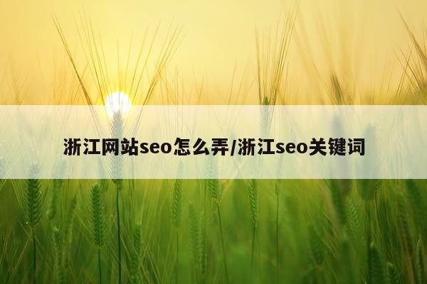 浙江网站seo怎么弄/浙江seo关键词