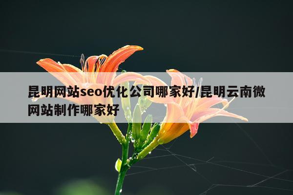昆明网站seo优化公司哪家好/昆明云南微网站制作哪家好