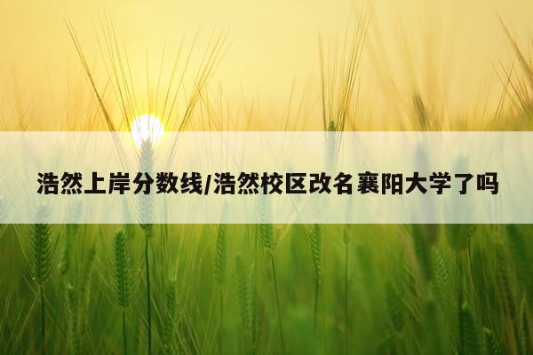 浩然上岸分数线/浩然校区改名襄阳大学了吗