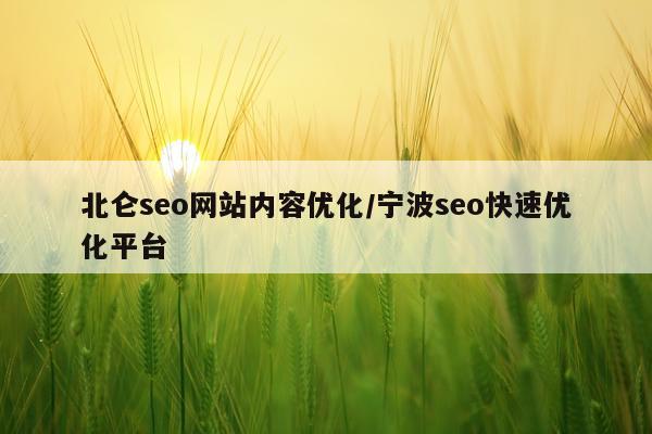 北仑seo网站内容优化/宁波seo快速优化平台