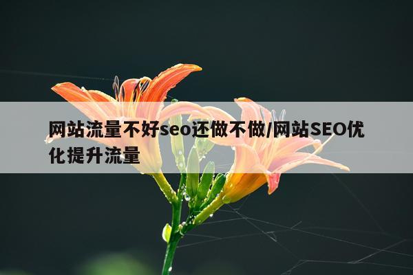 网站流量不好seo还做不做/网站SEO优化提升流量