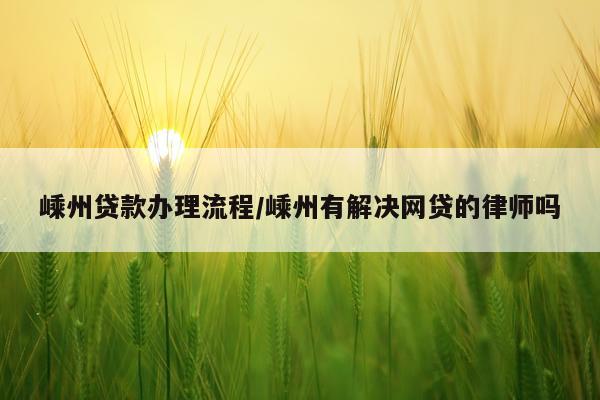 嵊州贷款办理流程/嵊州有解决网贷的律师吗