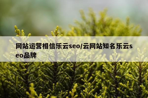 网站运营相信乐云seo/云网站知名乐云seo品牌