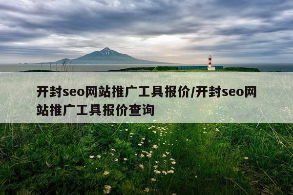 开封seo网站推广工具报价/开封seo网站推广工具报价查询