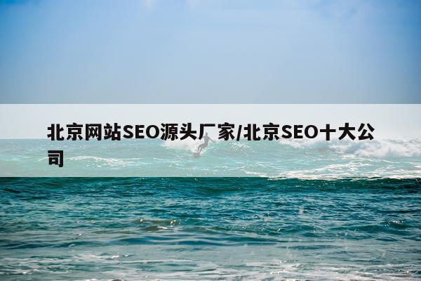 北京网站SEO源头厂家/北京SEO十大公司