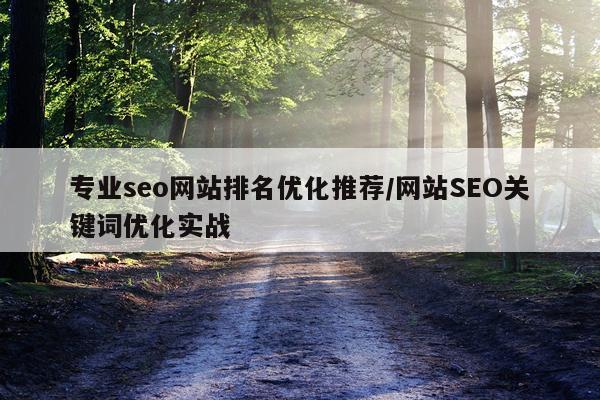 专业seo网站排名优化推荐/网站SEO关键词优化实战