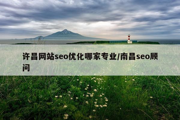 许昌网站seo优化哪家专业/南昌seo顾问