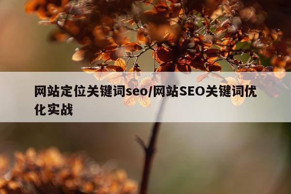 网站定位关键词seo/网站SEO关键词优化实战