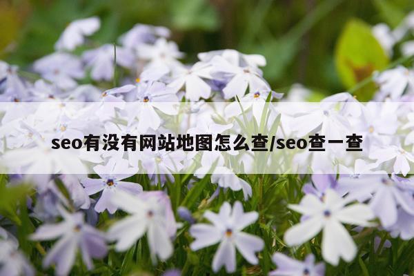 seo有没有网站地图怎么查/seo查一查