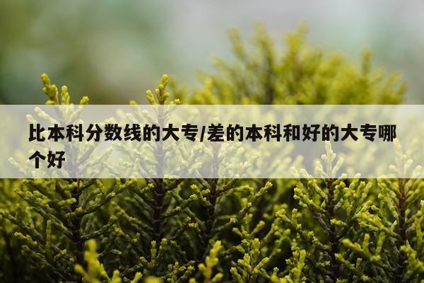 比本科分数线的大专/差的本科和好的大专哪个好