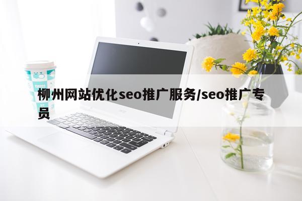 柳州网站优化seo推广服务/seo推广专员