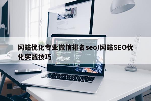 网站优化专业微信排名seo/网站SEO优化实战技巧