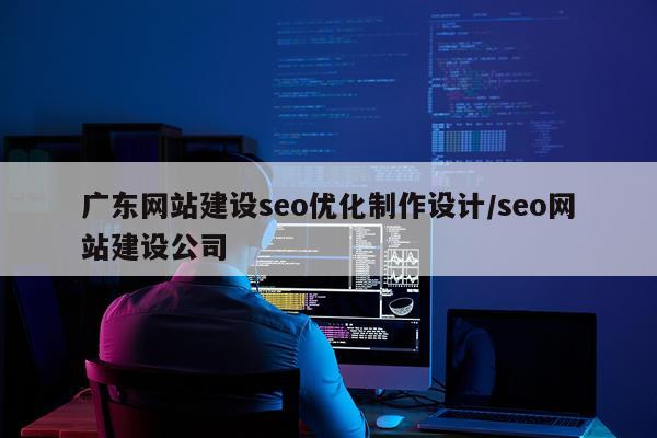 广东网站建设seo优化制作设计/seo网站建设公司
