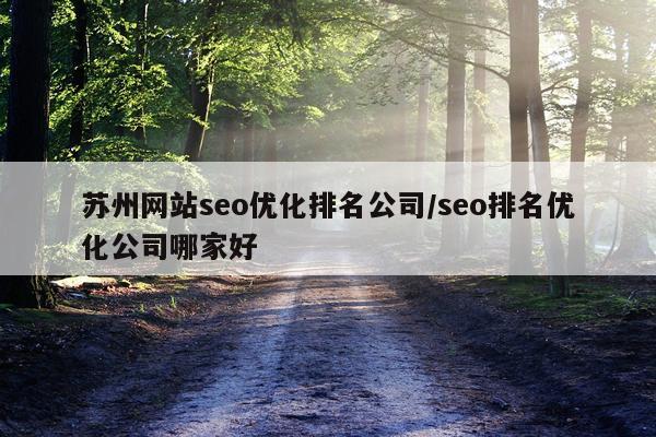 苏州网站seo优化排名公司/seo排名优化公司哪家好