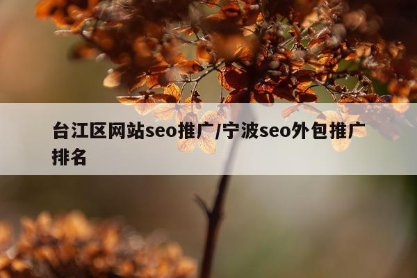 台江区网站seo推广/宁波seo外包推广排名