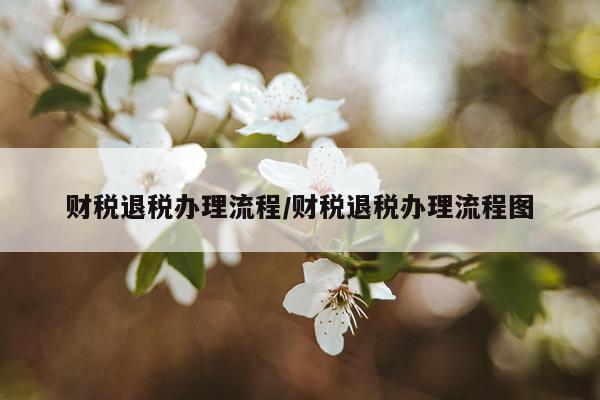 财税退税办理流程/财税退税办理流程图