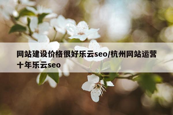 网站建设价格很好乐云seo/杭州网站运营十年乐云seo