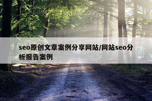 seo原创文章案例分享网站/网站seo分析报告案例