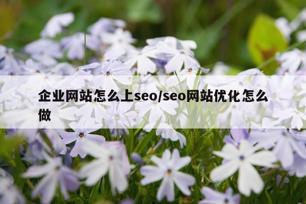 企业网站怎么上seo/seo网站优化怎么做