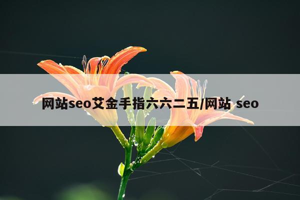 网站seo艾金手指六六二五/网站 seo