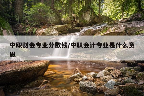 中职财会专业分数线/中职会计专业是什么意思
