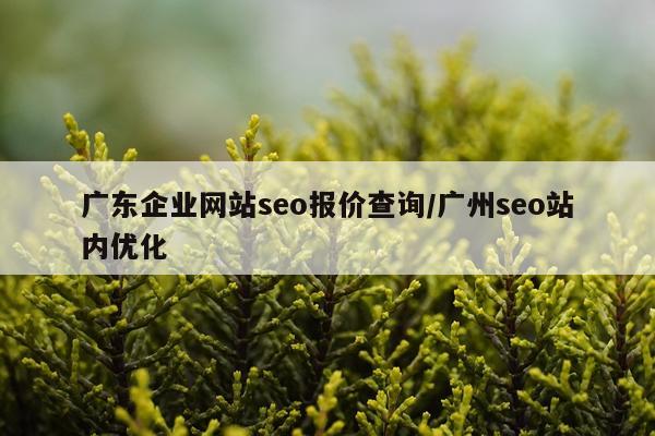 广东企业网站seo报价查询/广州seo站内优化