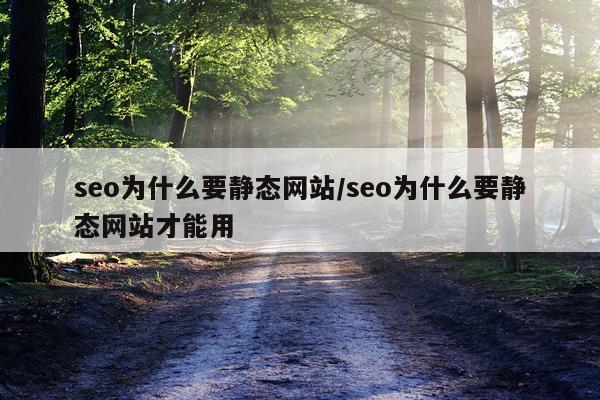 seo为什么要静态网站/seo为什么要静态网站才能用
