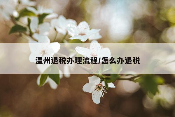 温州退税办理流程/怎么办退税