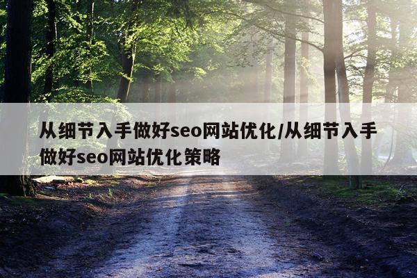 从细节入手做好seo网站优化/从细节入手做好seo网站优化策略